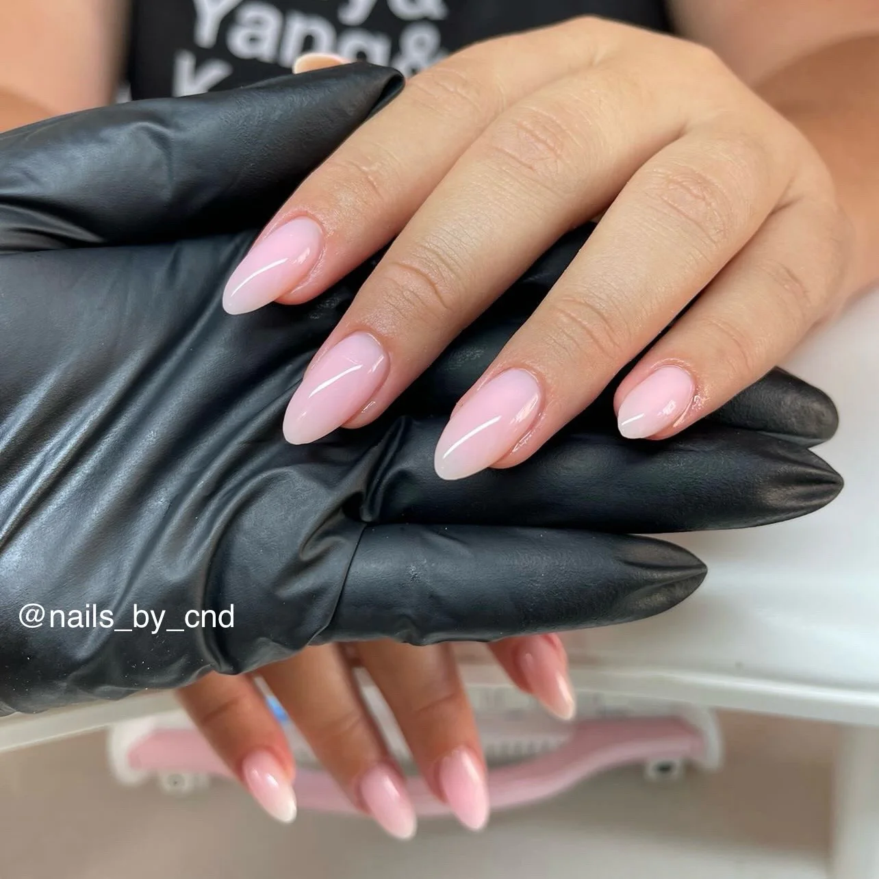 014 Pink Veil - Image 4
