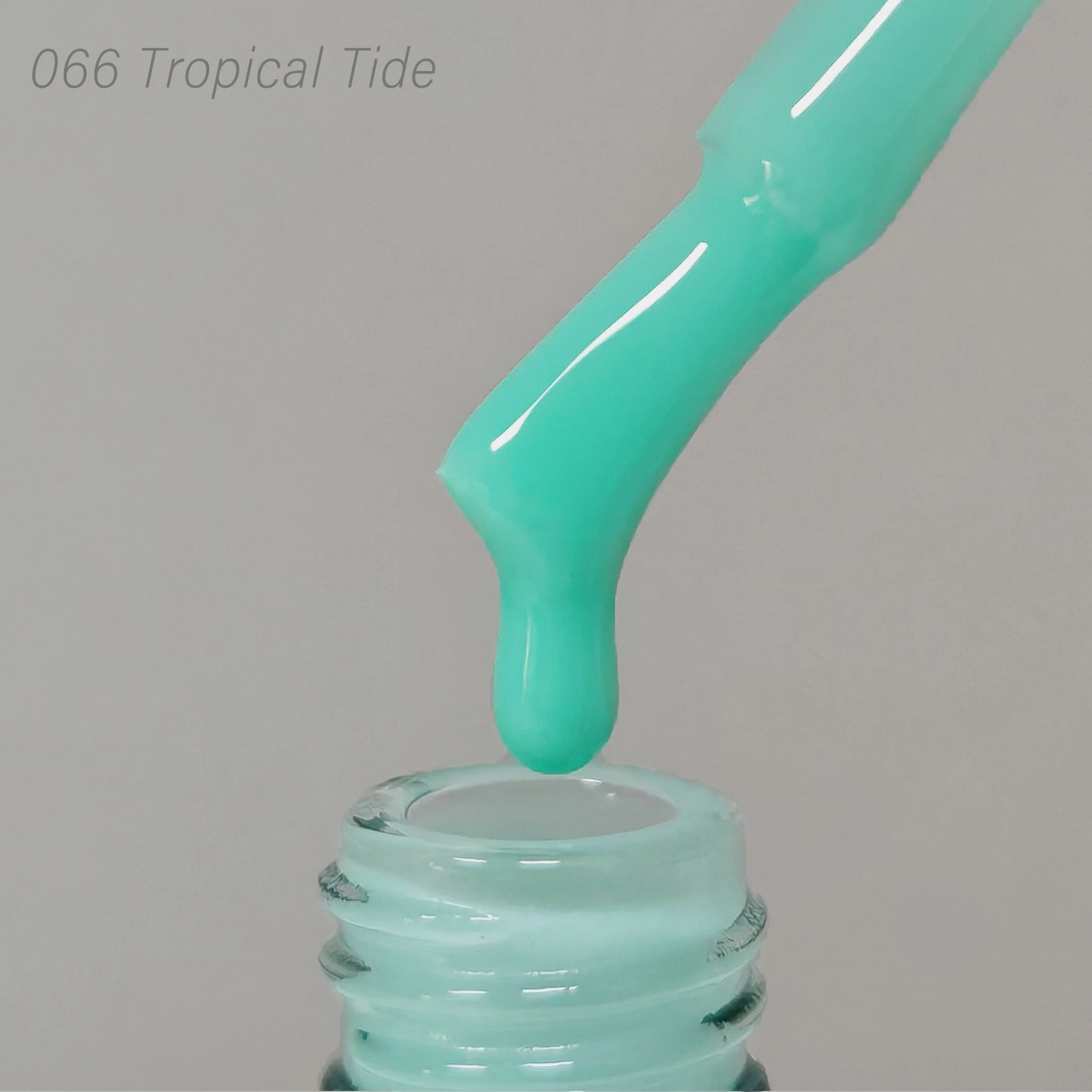 066 Tropical Tide - Image 2