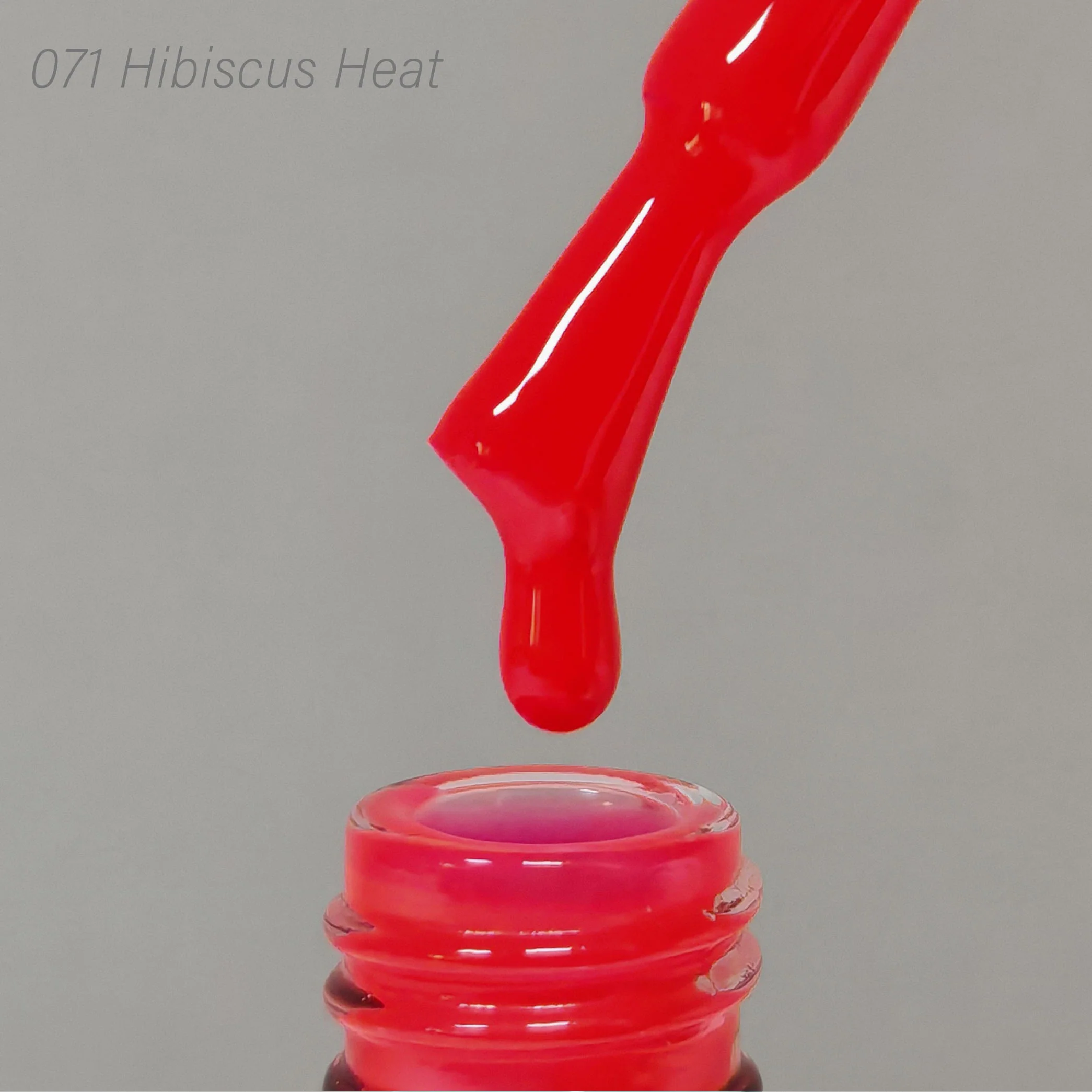 071 Hibiscus Heat - Image 2